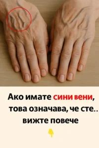 515261633 750067814033120 3043774878736462830 n.jpg
