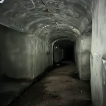 Снимаха мистериозния тунел под Петрохан-Наистина съществува-Видео в първия коментар 3 746983336 1341918958030535 7507633698266819387 n