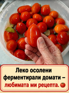 🍅❤️ Пазя тази рецепта за леко осолени ферментирали домати от много години. Някога ми я сподели моята баба и оттогава нито едно лято не минава без това ароматно домашно мезе. 50 chatgpt image 10.07.2026 g. 11 22 45