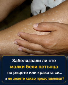 chatgpt image 14.07.2026 g. 09 00 21