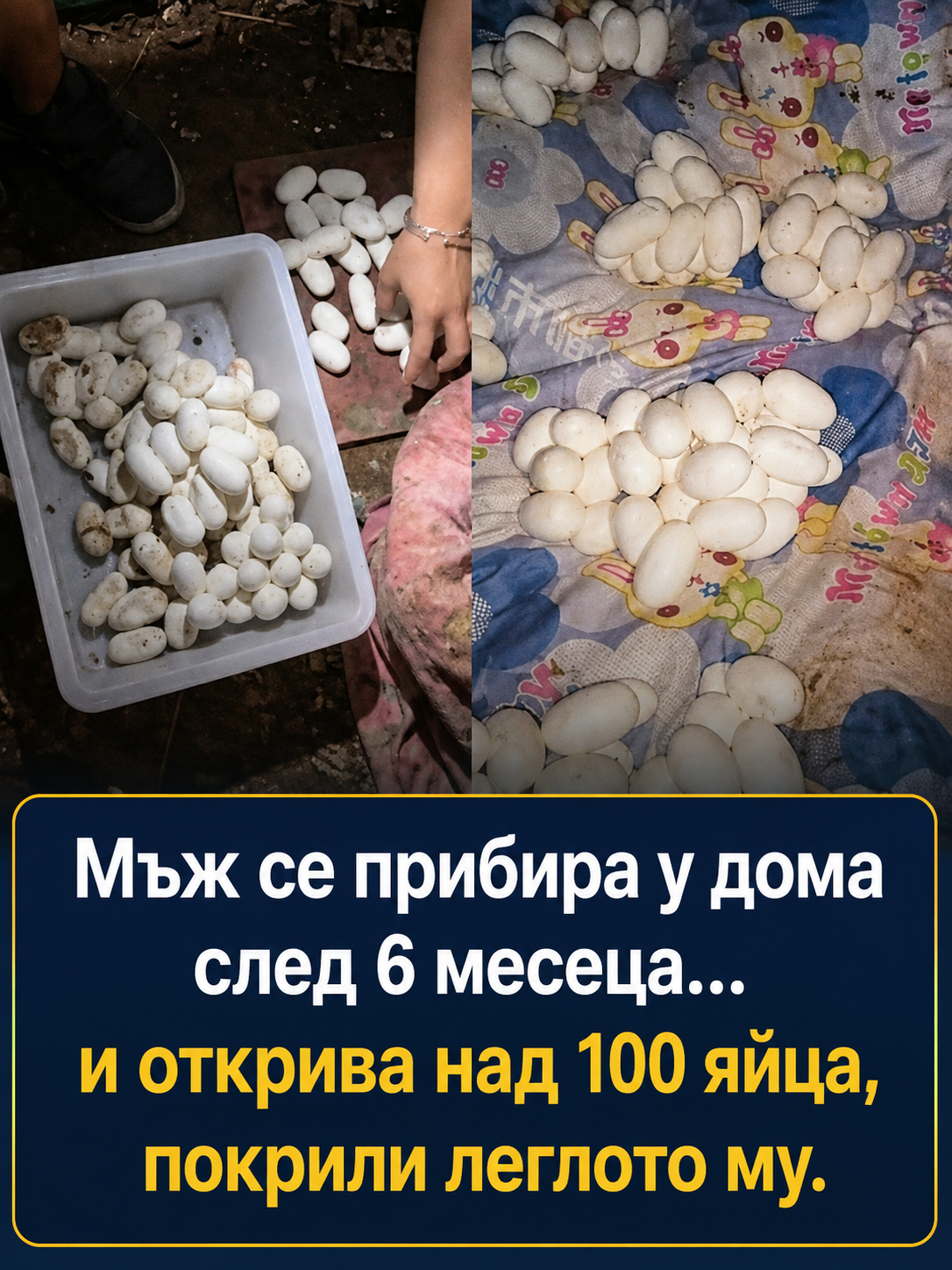 chatgpt image 14.07.2026 g. 09 19 53