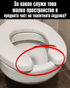 chatgpt image 28.07.2026 g. 11 46 48