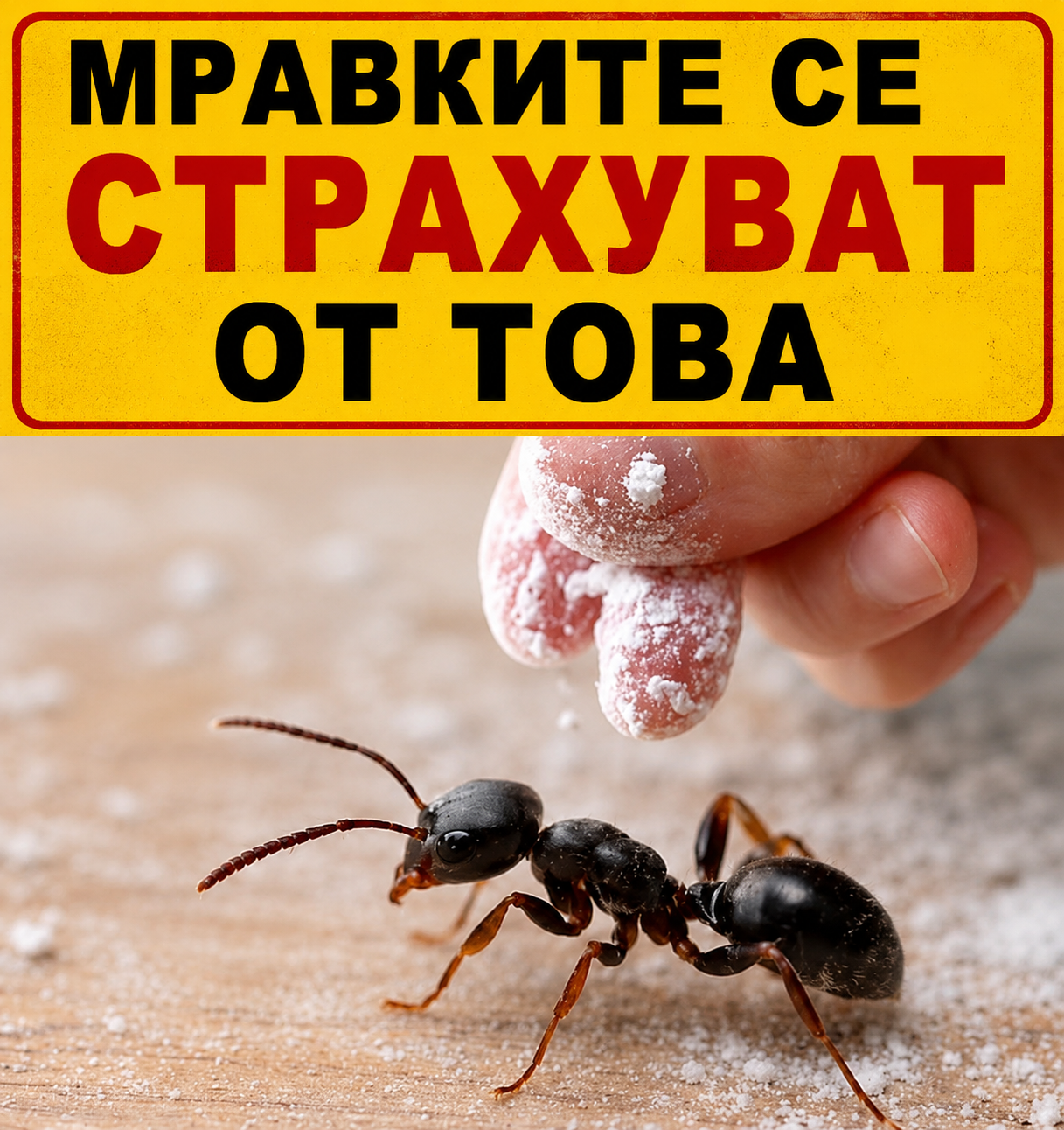 chatgpt image 3.07.2026 g. 08 57 48