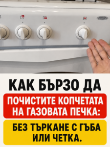 chatgpt image 6.07.2026 g. 13 36 24