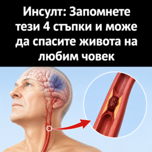 chatgpt image jul 19 2026 10 08 58 am