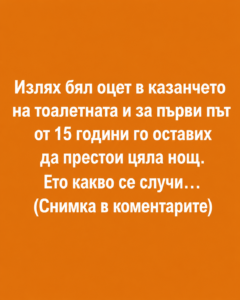 Излях бял оцет в казанчето на тоалетната и за първи път от 15 години го оставих да престои цяла нощ. Ето какво се случи… (Снимка в коментарите) 44 d23fbf91 6a1e 441d af14 d6585e2db603
