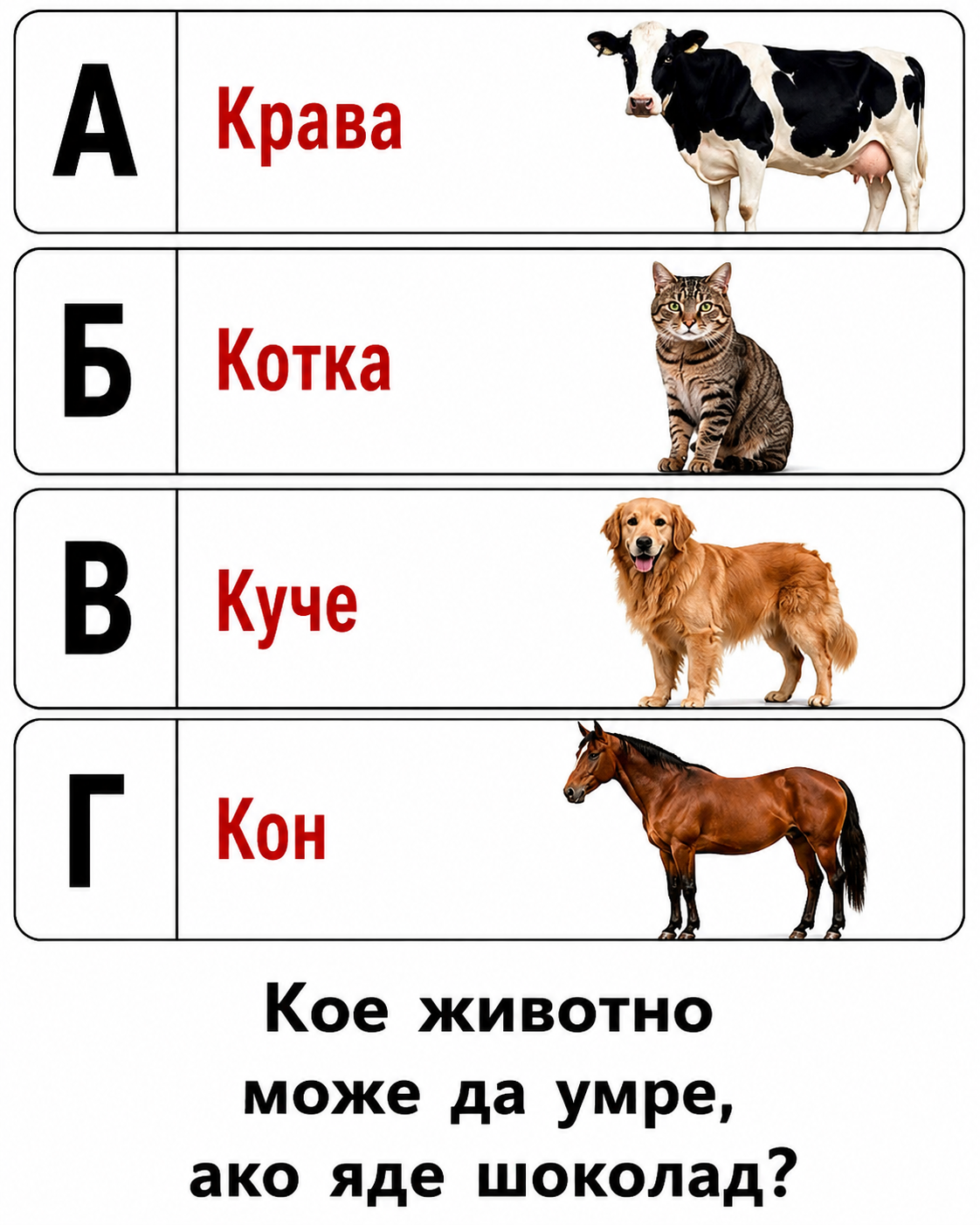 Кое животно може да загине, ако изяде шоколад? Отговорът изненадва много хора 3 chatgpt image 1.08.2026 g. 15 13 08