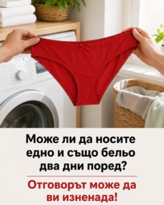 Може ли да носите едно и също бельо два дни поред? 🤔 Отговорът може да ви изненада 👇 14 chatgpt image 19.08.2026 g. 13 08 58