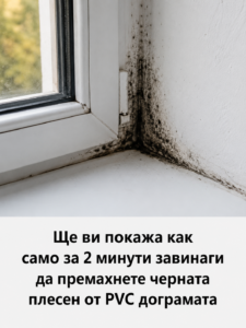 chatgpt image 21.08.2026 g. 10 07 48