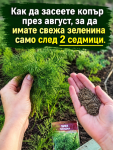 chatgpt image 21.08.2026 g. 10 17 49