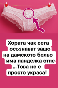Не мога да повярвам, че никога не съм знаел това! 40 chatgpt image 4.08.2025 g. 19 01 38