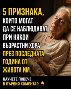 chatgpt image 6.08.2026 g. 12 30 46
