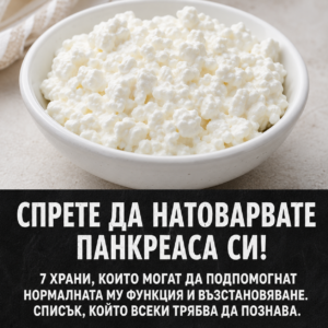 chatgpt image 8.08.2026 g. 22 45 43