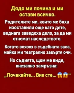 Дядо ми почина и ми остави всичко. Родителите ми, които ме бяха изоставили още като дете, веднага заведоха дело, за да ми отнемат наследството. Когато влязох в съдебната зала, майка ми театрално завъртя очи. Но съдията, щом ме видя, внезапно замръзна: 20 1e7adc9e 959a 481c a46e 3046cc3c