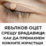 20251026 1456 yabalkov oczet i bradaviczi remix 01k8g9c36zfh89nyqzmmd3z125