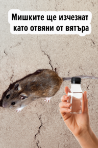 Мишките се страхуват от това средство като от огън – ще избягват дома ви отдалеч и няма да се приближават дори на километър 🐀💪 8 20251104 1413 izchezvasthi mishki remix 01k97cfr50e70ajbcn5wg802q3