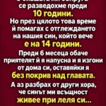 С бившата ми съпруга се разведохме преди 10 години. Но през цялото това време ѝ помагах с отглеждането на нашия син, който вече е на 14 години. Преди 6 месеца обаче приятелят ѝ я напусна и я изгони от дома си, оставяйки я без покрив над главата. А аз разбрах от други хора, че синът ми всъщност живее при леля си… 97 4179638c c61d 45eb 9870 19154093