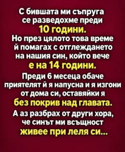 С бившата ми съпруга се разведохме преди 10 години. Но през цялото това време ѝ помагах с отглеждането на нашия син, който вече е на 14 години. Преди 6 месеца обаче приятелят ѝ я напусна и я изгони от дома си, оставяйки я без покрив над главата. А аз разбрах от други хора, че синът ми всъщност живее при леля си… 149 4179638c c61d 45eb 9870 19154093