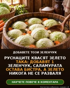 Руснаците киселят зелето по този начин: добавят само един зеленчук, саламурата остава бистра, а зелето не се разваля. 6 42d12648 1fe5 4d71 bdef a17428e2