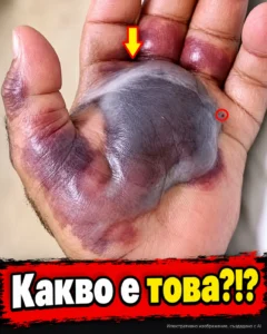 4d83b8af a564 4a87 9bde ae73042b