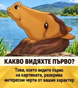 Не вярвате, че този тест може само за минута да покаже една от най-силно изразените черти на характера ви? И аз първоначално бях скептична. Но когато го направих, останах изненадана колко точно някои от описанията ми паснаха. 32 5d2618e9 7705 4fe6 bb81 64bb5515