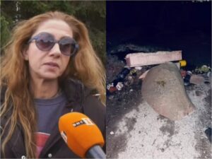 Майката на Николай Златков с остра реакция след премахването на плочата на Петрохан: Ето какво поиска - в коментар 👇👇👇 26 795430629 1057572877104885 3797217090193564167 n