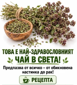7cce56b0 ed09 42ea a5fb 6c78488f
