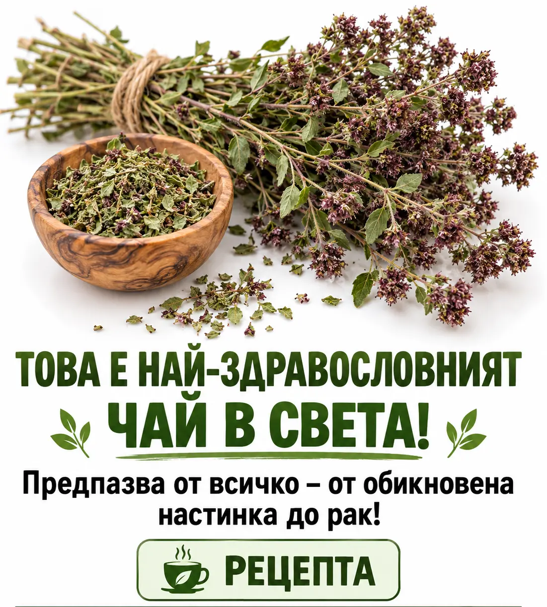 7cce56b0 ed09 42ea a5fb 6c78488f