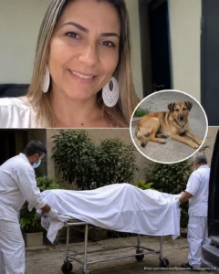 45-годишна жена е приета в болница след… Вижте още 2 9384ef8a 3502 48e7 a8cb deb5159e