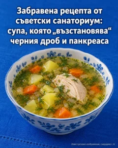 👇 Забравена рецепта от съветски санаториум: супата, за която някога се смятало, че подпомага черния дроб и панкреаса 22 95b91778 49b6 4523 93dd fd78010a