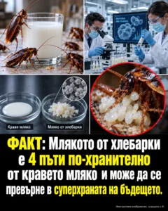 Учени твърдят, че това необичайно „мляко“ може да промени бъдещето на храненето 😲 50 e50e5159 bbf8 4964 aa1d cf18bec1