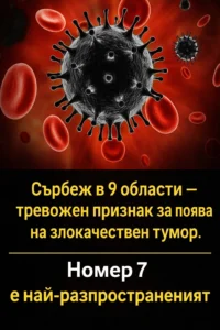 Сърбеж в девет различни зони на тялото може да бъде сигнал, за който лекарите предупреждават – в някои случаи той се свързва със сериозни заболявания. Признак номер 7 се среща най-често 👇👇🥸 38 task 01kftr6wfyfv7acy5b0h2jn5qv 1769350656 img 0